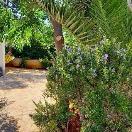 Apartment By The Sea - 19217 Vir